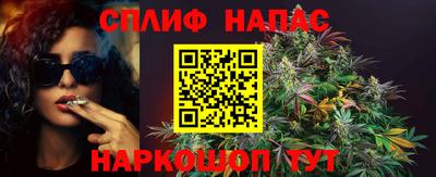 эйфоретик Берёзовский