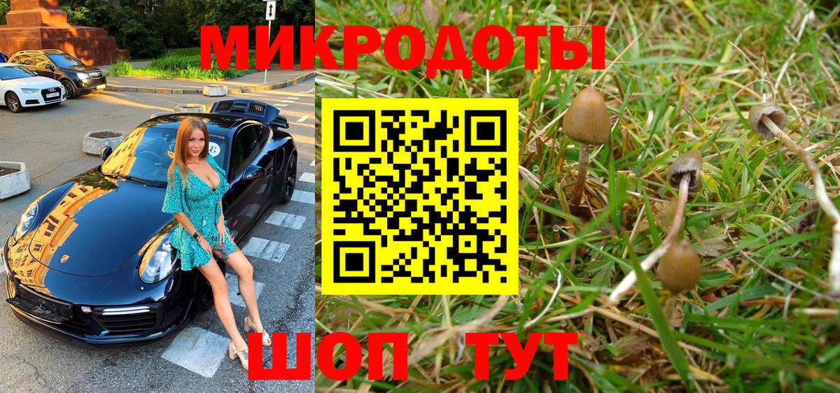 Воркута  Псилоцибиновые грибы ЛСД  Вход с VPN 